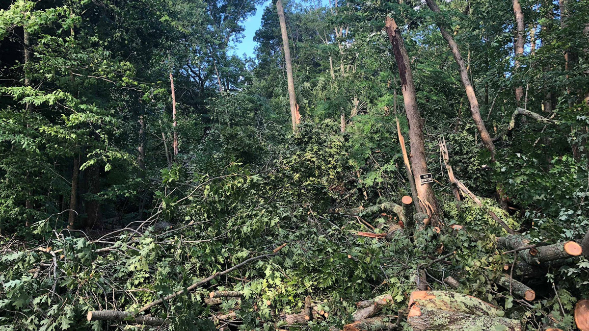 National Weather Service Confirms EF-0 Tornado in Ashford