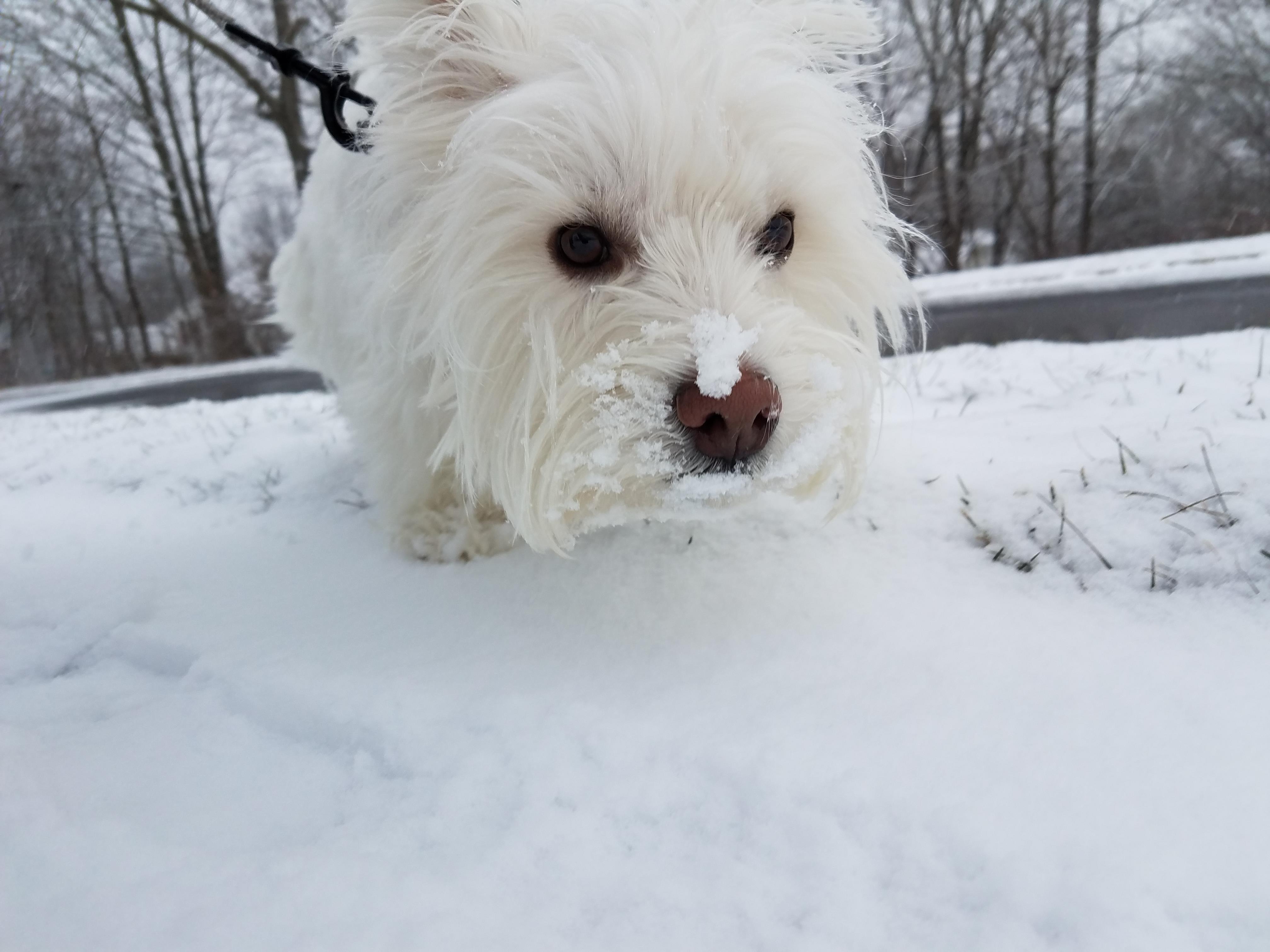 Your Jan. 17 Snow Photos