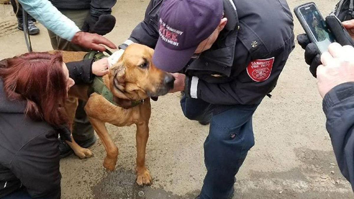 State Police Dog Found Safe and Sound