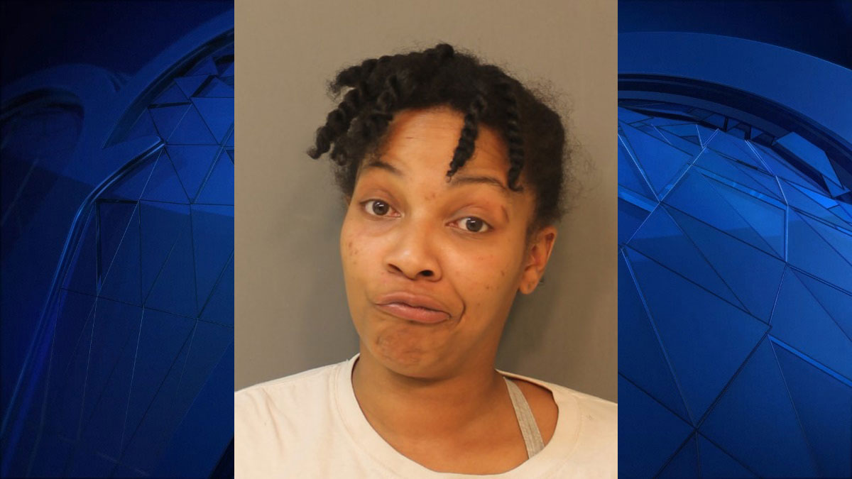 Woman Drove Drunk to Police Station With Child In Car: Cops