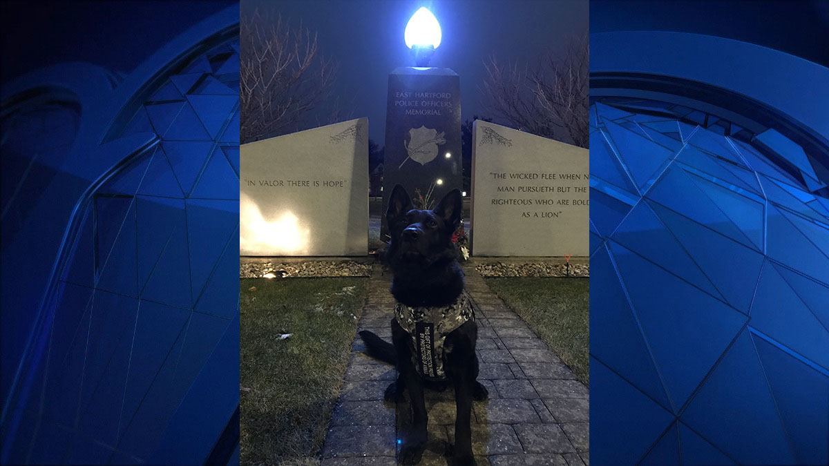 East Hartford Police K9 Receives Body Armor