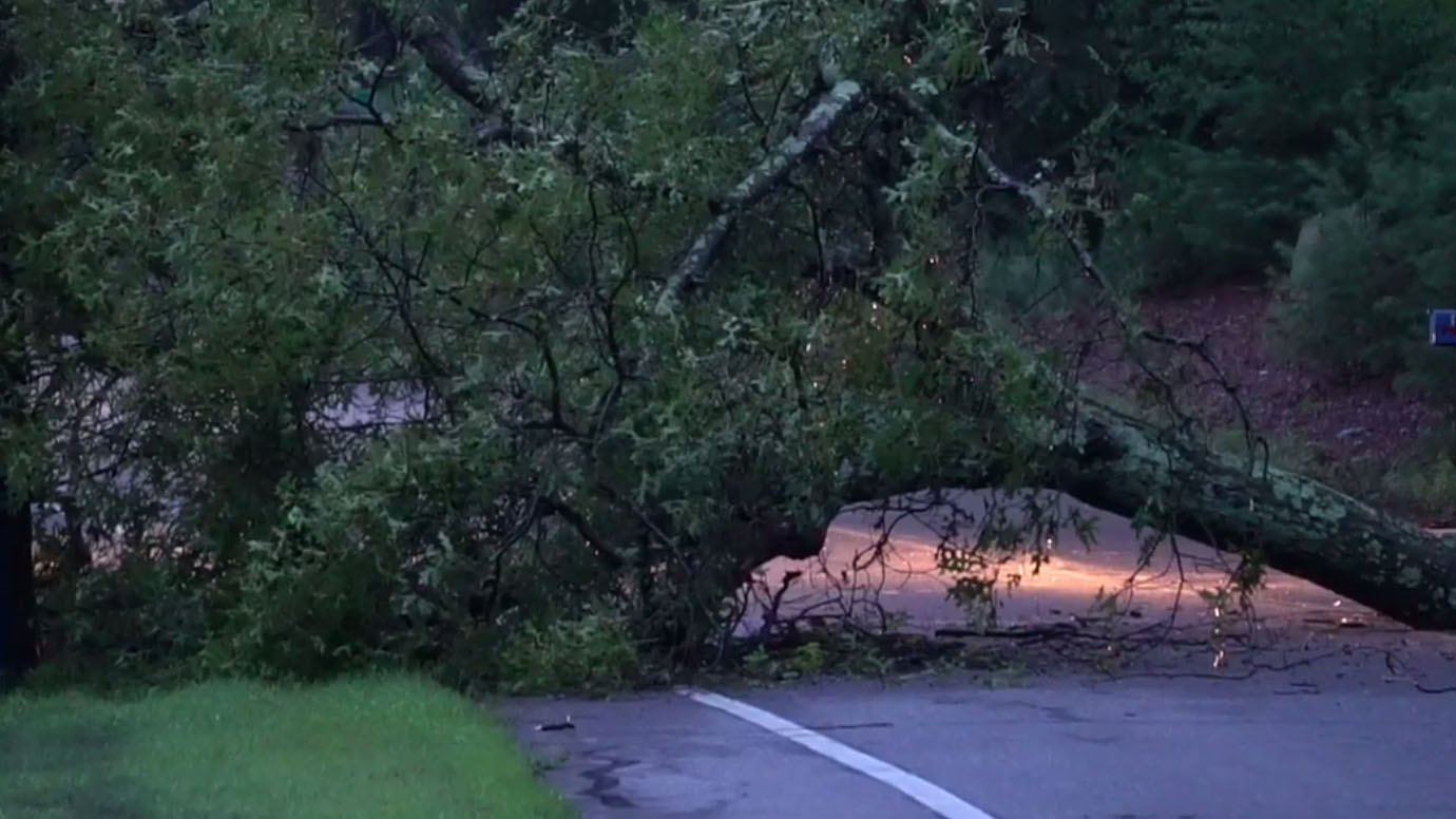 Crews Clear Downed Tree on Route 83 in Glastonbury