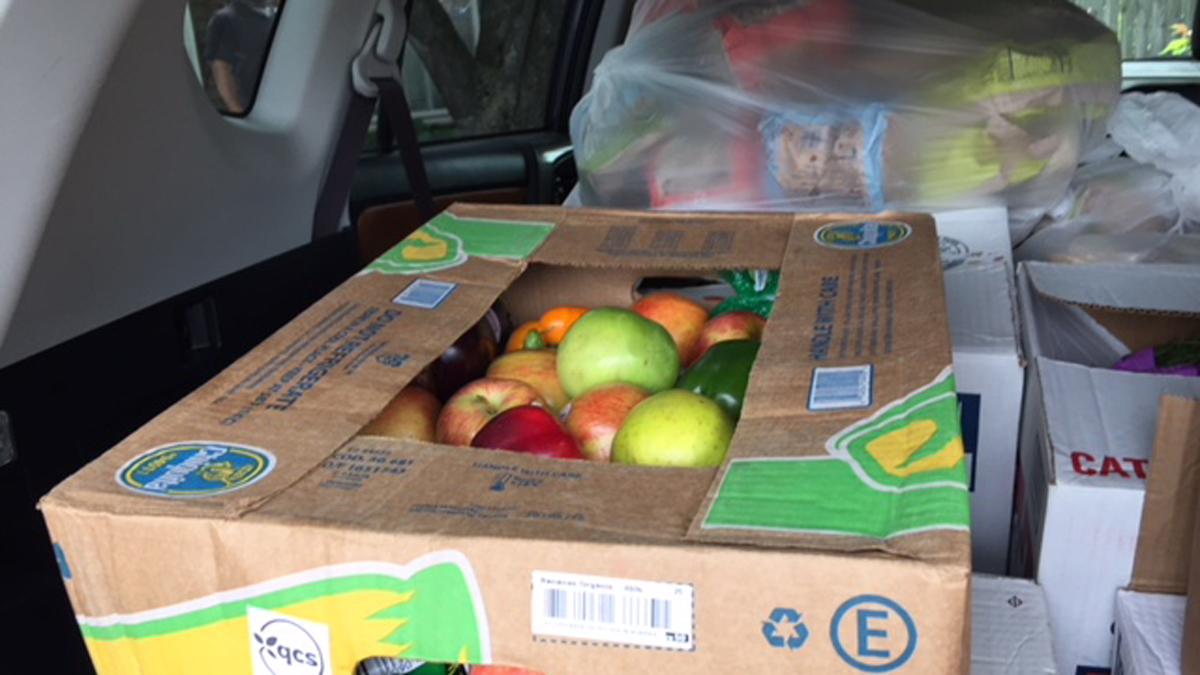 Food Rescue Gets Excess Food to Those in Need