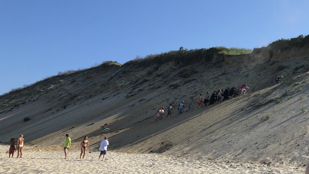 Shark Bites Man Off Cape, Leaving 'Deep Puncture Wounds'