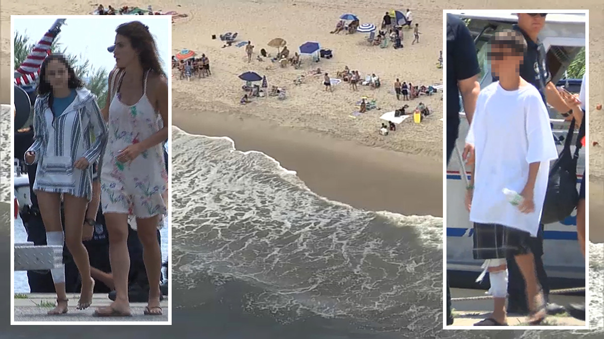 2 Kids Bitten in NY Shark Attacks; Tooth Sticks in Boy's Leg