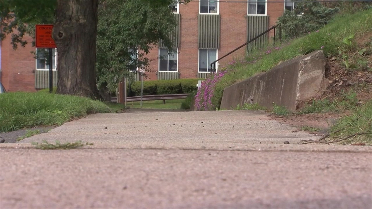 1-Year-Old Severely Injured in Wallingford Dog Attack