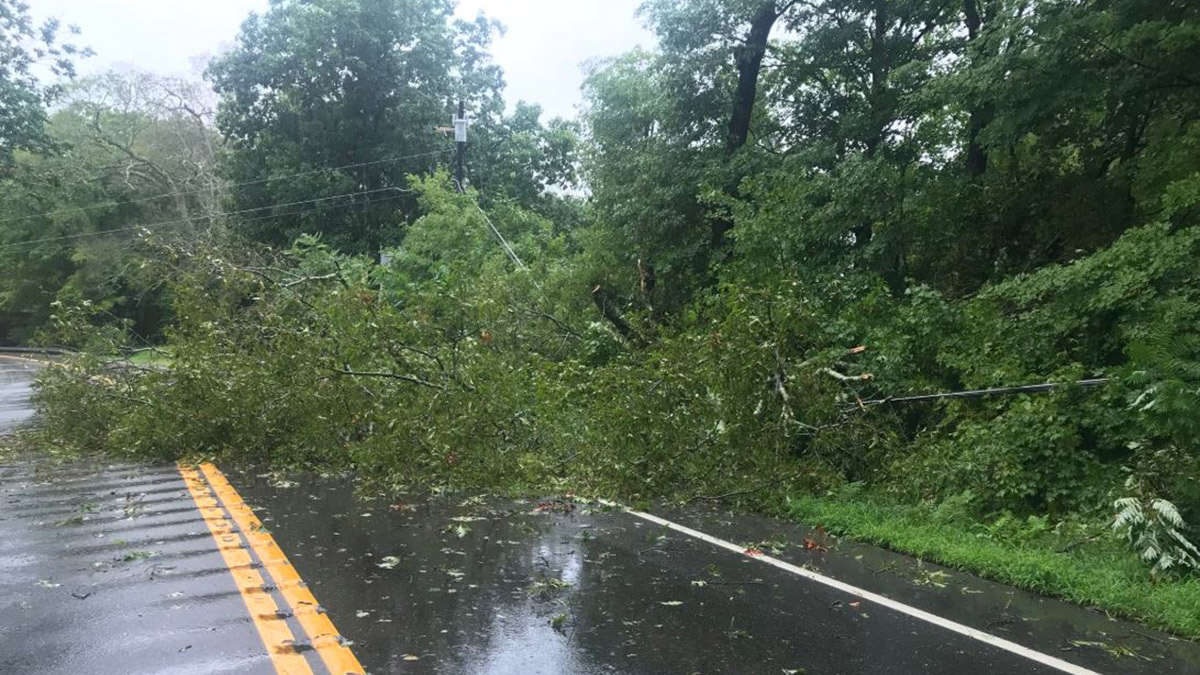 Saturday Storm Damage Photos