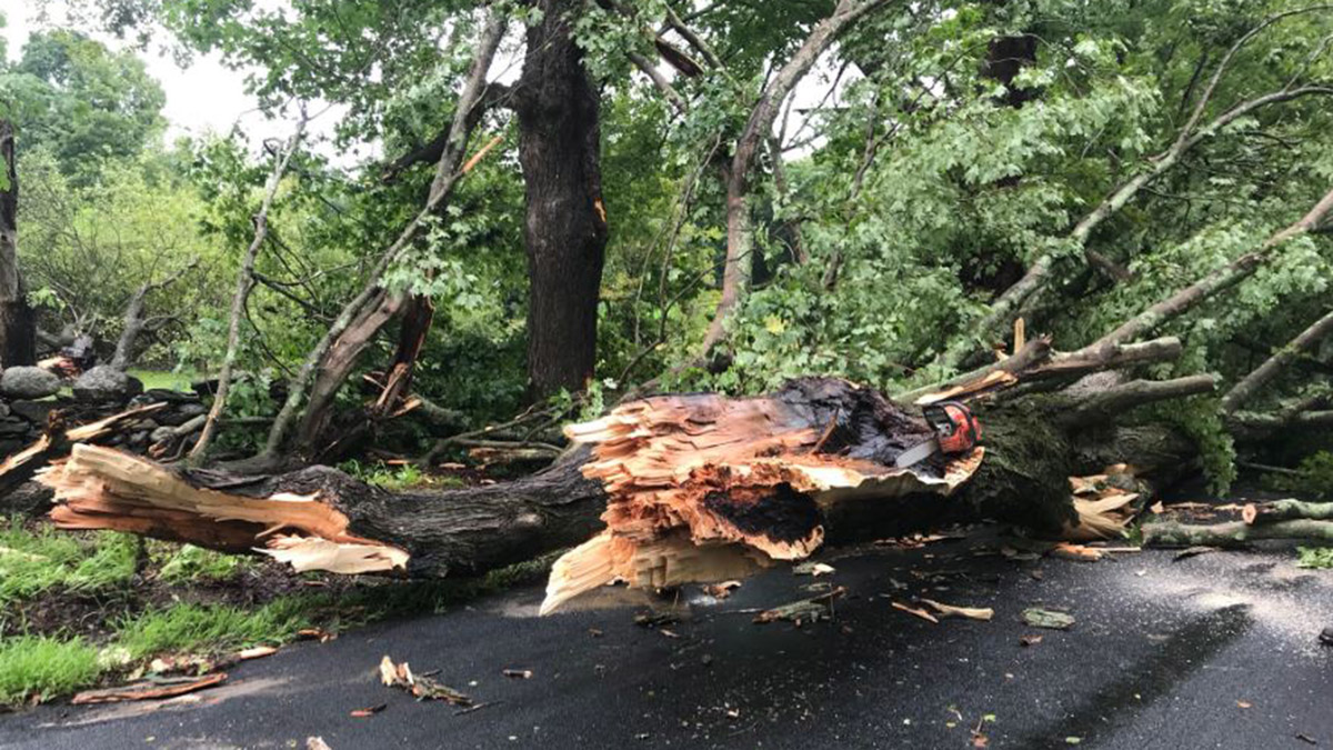 Tornado Touched Down in Woodstock During Storms: NWS
